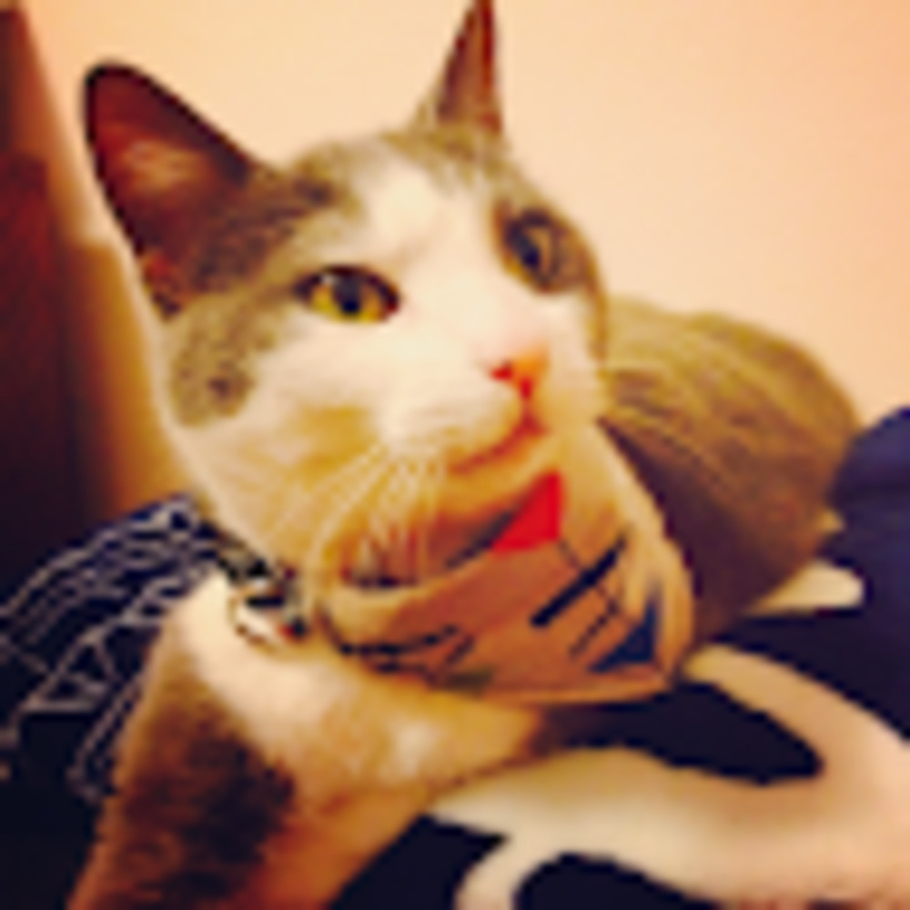 Meet your Posher, M.